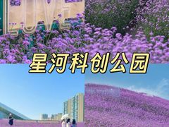 -老鼎万春卤菜(五代传承创始老店)