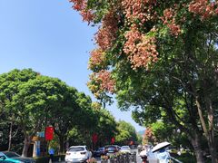 -湖州太湖旅游度假区-月亮广场