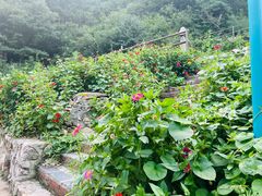 -北京山里寒舍度假酒店