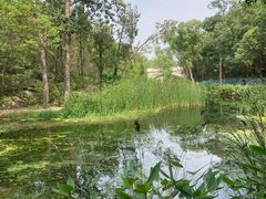-白水寺森林公园