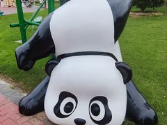 -荷兰花海