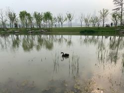 -玄武湖景区-情侣园游乐场