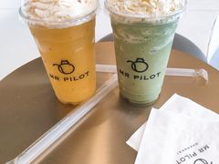 -飞行喵MR PILOT|猫舍·猫咖(静安大融城店)