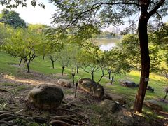 -广东花都湖国家湿地公园