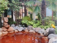 -张家港金凤凰度假村温泉
