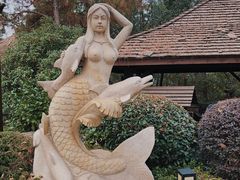 -天目湖涵田半山温泉