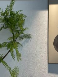 -小梨·OndaPro·专业脱毛连锁机构