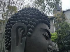 -杭州植物园