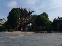 -大槐树寻根祭祖园
