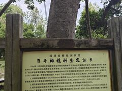 -福建鲤鱼洲酒店