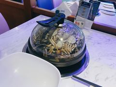 -半岛听涛蒸汽海鲜自助(K11店)