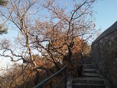-香山公园
