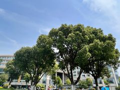 -阳澄湖费尔蒙酒店