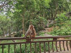 -千岛湖东南湖区