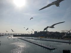 -大连圣亚海洋世界