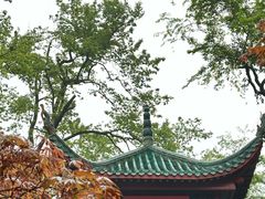 -岳麓山风景名胜区