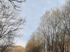 -东坝千亩湖公园