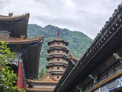 -天目山大树王景区