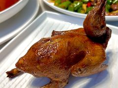 -琬苑鸽庄·川粤融合菜(解放碑总店)