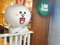 -line friends(明洞旗舰店)