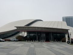 -合肥大剧院