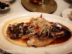 -老洋房花园饭店(绍兴路店)