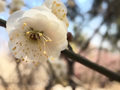 -北京鹫峰国家森林公园