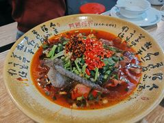 -芙蓉树下冒菜·麻辣烫(农院店)