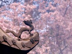 -潭柘寺景区