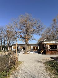 -DORA kids 朵拉儿童摄影花园店