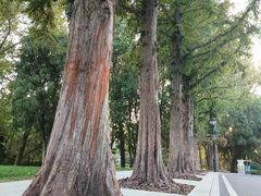 -棒棰岛宾馆景区