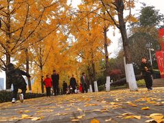 -高庙村(地铁站)