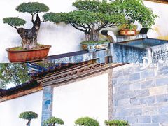-朱家花园