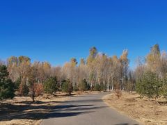 -东郊湿地公园
