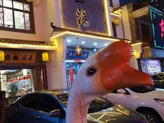 -巢湖名吃·东关老鹅汤(江南风情街店)
