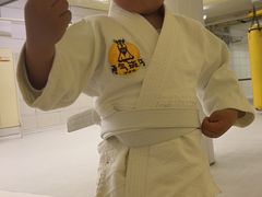 -勇气斑马·巴西柔术&跆拳道(浦东三林店)