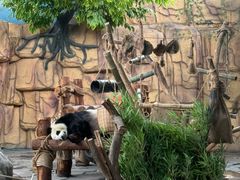 -泉州海丝野生动物世界