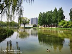 -将府公园