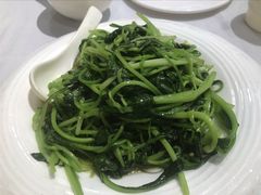 清炒鸡毛菜-峨嵋酒家(德内店)