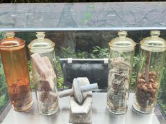 -广州神农草堂中医药博物馆