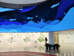 -上海城市规划展示馆