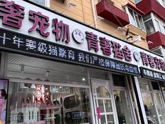 -青奢宠物·青奢猫舍