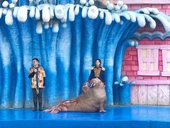 -华夏文旅海洋公园