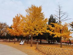 -北京西山国家森林公园