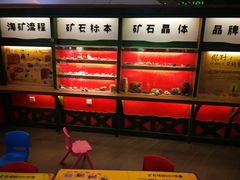 -皮特曼淘矿小镇(领秀城贵和店)