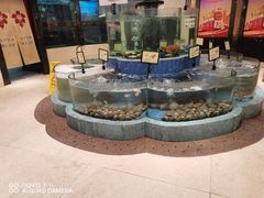 水产区-广州酒家(昌岗地铁站店)