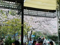 -玛格萝妮比萨屋(四平店)