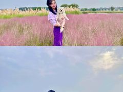 -汉长安城未央宫国家考古遗址公园