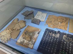 -上海昆虫博物馆