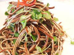 香椿苗豆腐丝-马仕玖煲·融合菜·酥不腻烤鸭(人大店)
